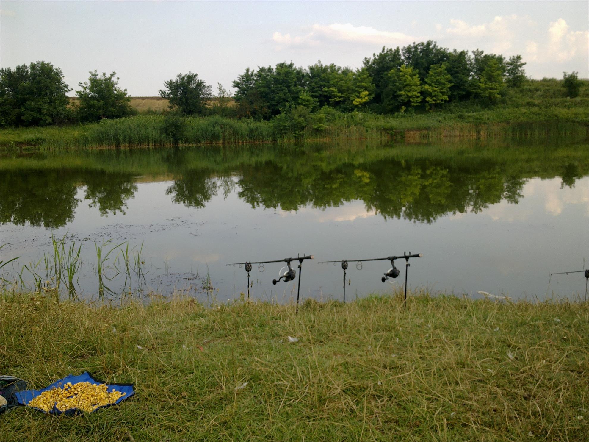 2013 - 13072013260.jpg